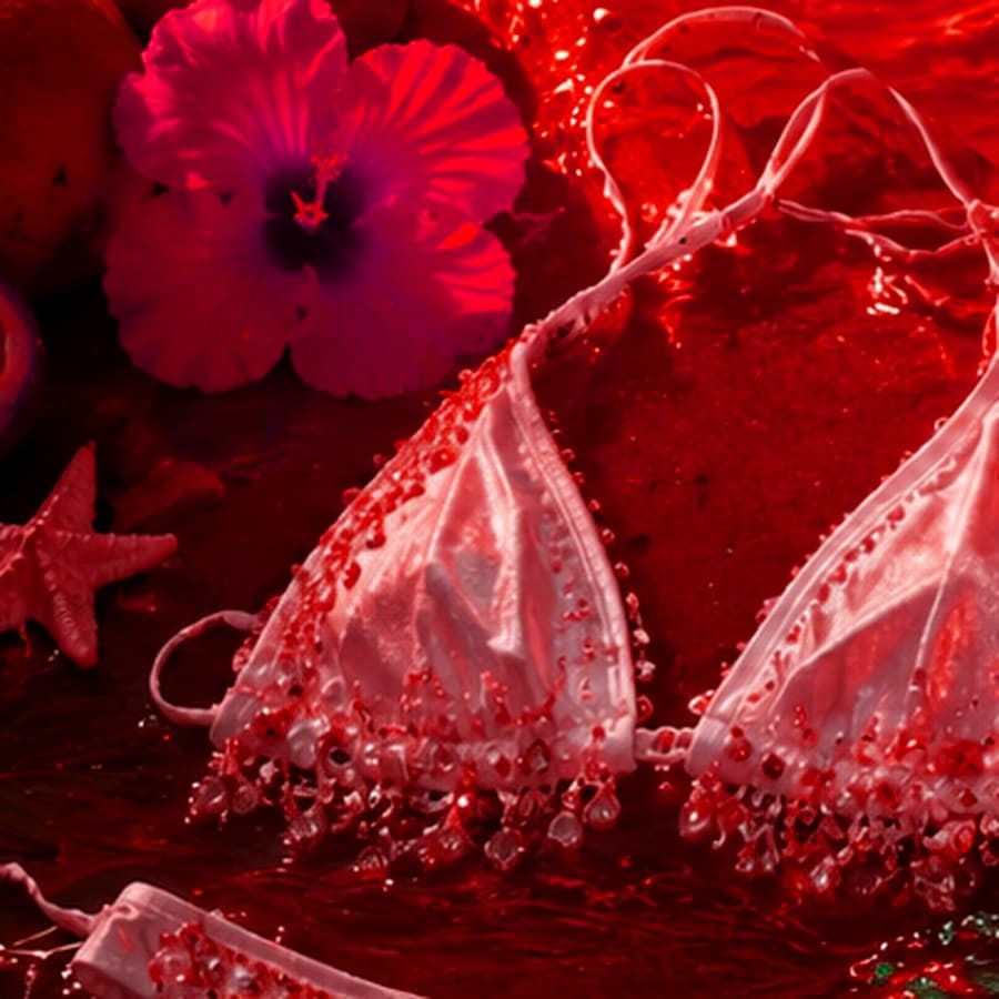 Hibiscus Kiss